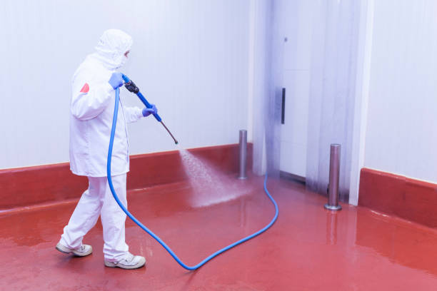 Professional Pressure Washing Services in Fort Shawnee, OH